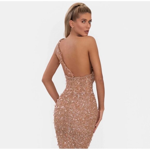 Albina Dyla Nude Dress Size 4/6 Retails $1,580 - Picture 3 of 5